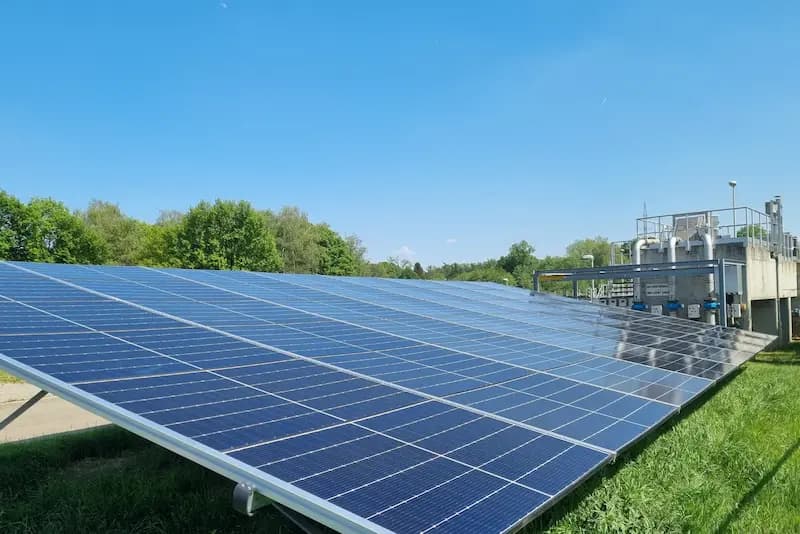 Zonnepanelen met korstmos (Na reinigen)